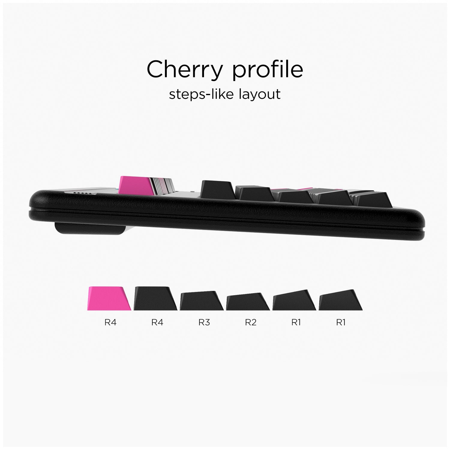 MIAMI NIGHTS-CHERRY PROFILE