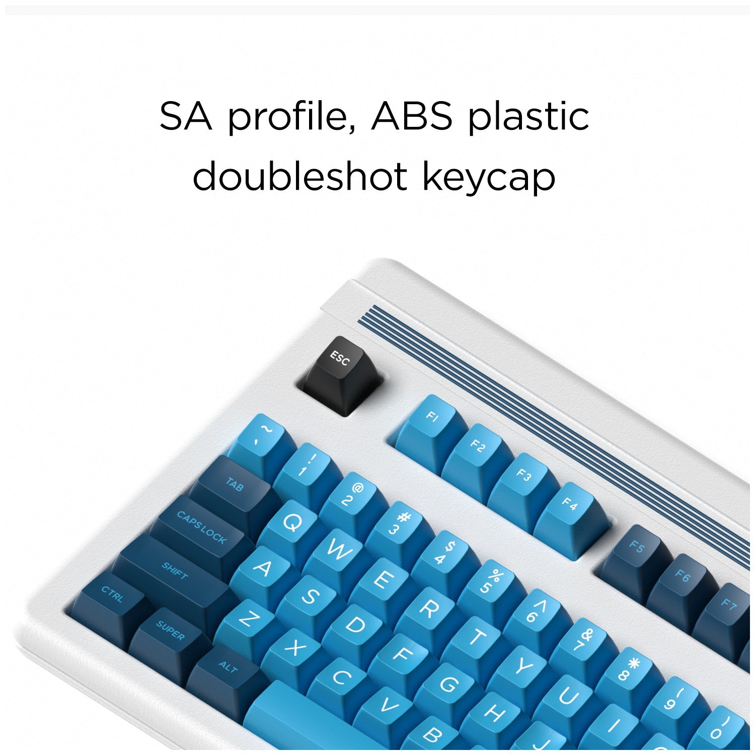 BLUE WAVE-SA PROFILE